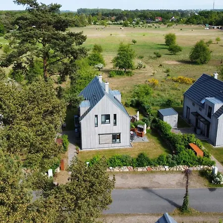 Sanddorn 1 Und 2 Pruchten