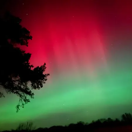 בית נופש Sanddorn 1 Und 2 *